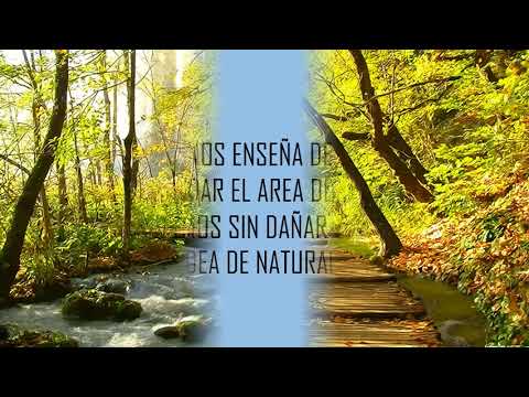 La ecologia en la arquitectura