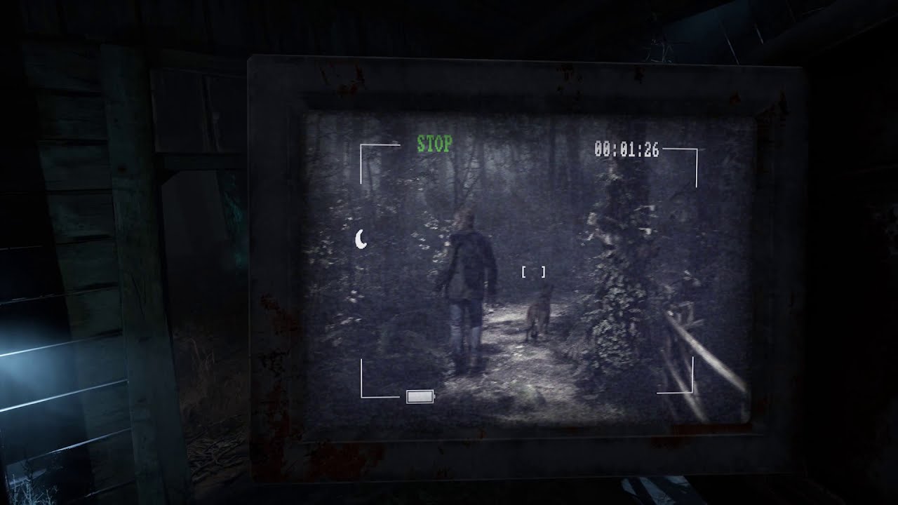 Blair Witchvideo poster