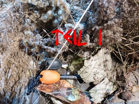 Zunder im Herbstwald Teil 1 "suchen und sammeln"