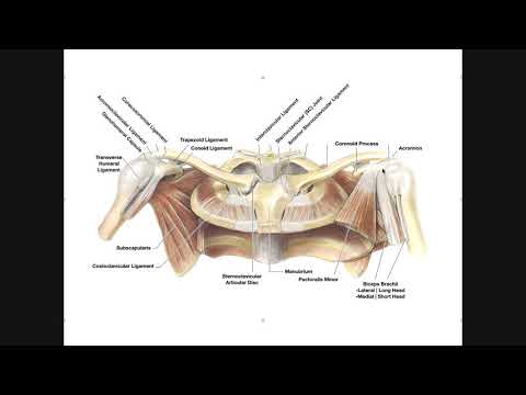készítmények az osteochondrosis súlyosbodására