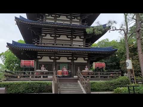 Matsuriza - Taiko, an ancient form of Japanese drumming.