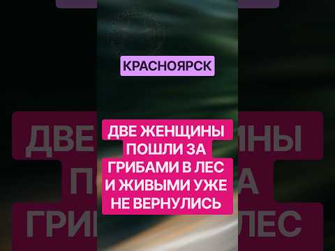Две женщины ушли за грибами и не вернулись… В лесу нашли следы медведя