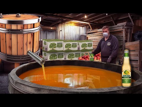 How Apple Cider Is Made In A Factory | Cider Factory Process