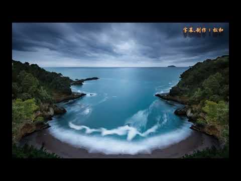 韋秀嫻 ~ 美麗的夜香港