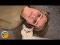 Cat Follows His Mom Everywhere Demands Her Attention Cuddle Buddies