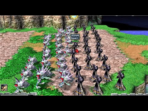Warcraft 3 Versus - 30 Mur'gul Slaves (Naga) Vs Alcolytes (Undead)