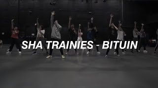 SHA TRAINIES &quot;BITUIN&quot; EASY LYRICS (ORIGINAL:MAYMAY ENTRATA)