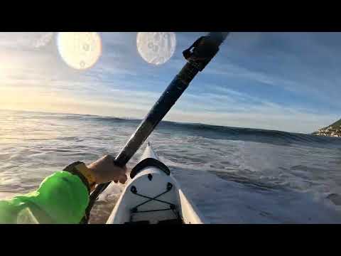 Chalupski Waikiki Review