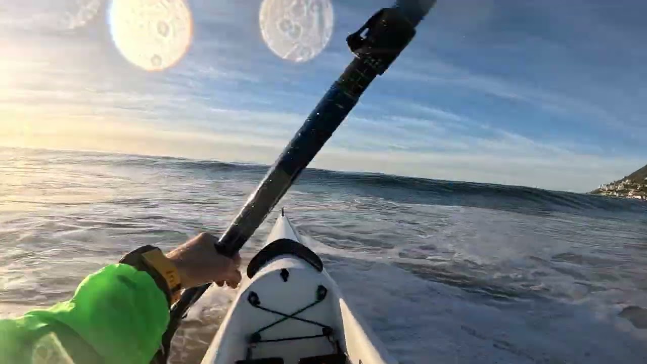 Chalupski Waikiki Review