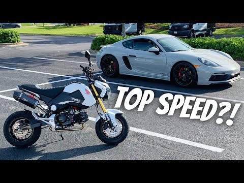 How FAST Is A Modified Honda Grom?