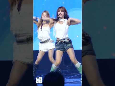 사샤