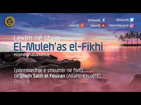 Lexim në librin "El-Muleh’as el-Fikhi" të shejh Salih el Feuzan (Pjesa 11) - Shaban Tolaj