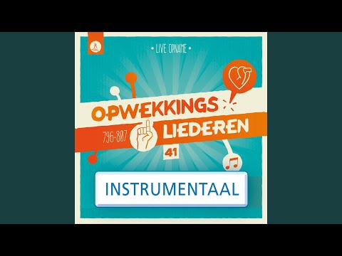Hier Is Mijn Hart (802) (Instrumentaal)