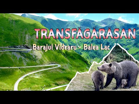 Transfagarasan - Barajul Vidraru - Balea Lac - Ursii cersetori -  Romania 4K