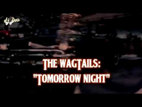 The Wagtails - Tomorrow Night
