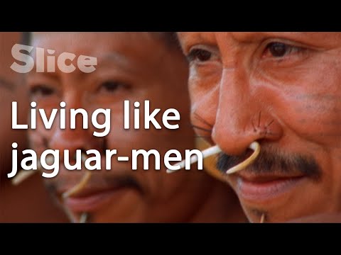 The Matis people in the Amazon forest | SLICE