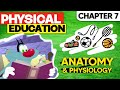 Class 11 Physical Education Chapter 7 Anatomy Physiology Animated