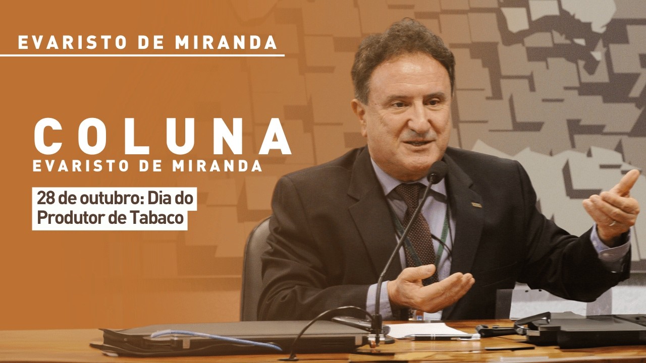 Evaristo de Miranda: 28 de outubro - Dia do Produtor de Tabaco
