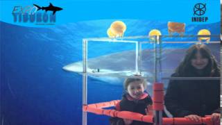 DIA 2 Expo Tiburon296