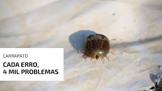Miniatura do vídeo