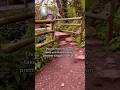 Stunning English Village In Torquay Devon Uk Youtube London Shorts Shortvideo Youtube Travel
