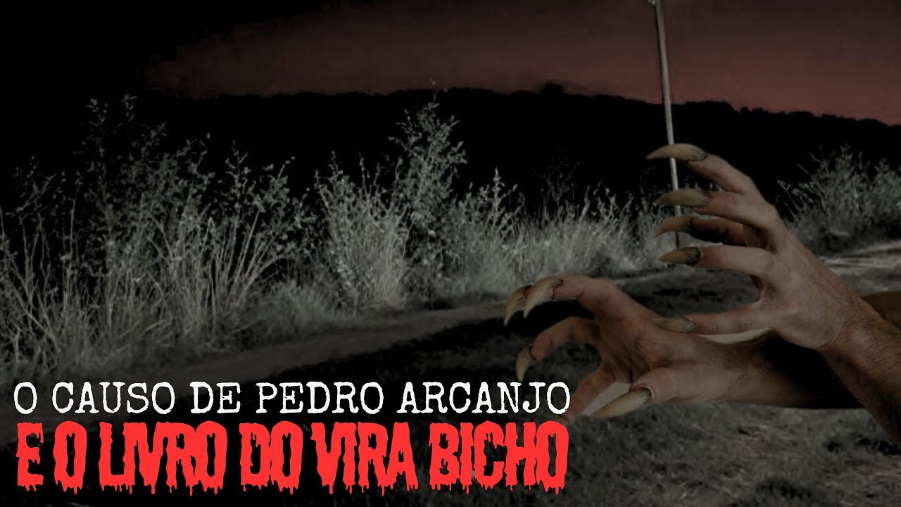 O CAUSO DE PEDRO ARCANJO E O LIVRO DO VIRA BICHO + UM RELATO.