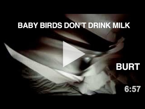 Baby Birds Don't Drink Milk - Burt (Official Music Video)