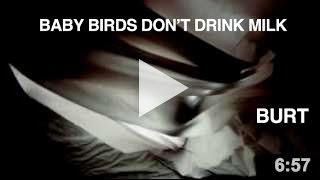 Baby Birds Don't Drink Milk - Burt (Official Music Video)