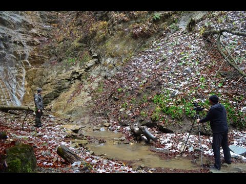 Parcul Natural „Putna” Vrancea