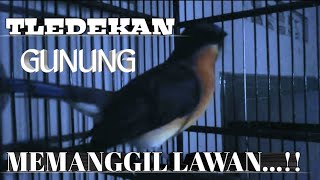 Download lagu TLEDEKAN GUNUNG MEMANGGIL LAWAN..!! mp3
