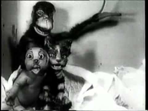 Death Sentence: Panda! - Animals Hate You