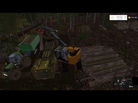 LS15 Stappenbach Forst Kampf gegen dem Borkenkäfer mit Hilfe