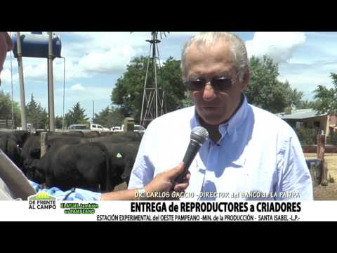 DE FRENTE AL CAMPO junto al SECTOR GANADERO -CARLOS GACCIO-