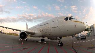 preview picture of video 'British Special Livery A319 : Golden Bird'