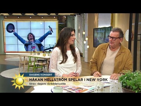 Steffo: "Hellström är som bäst i Kalle Anka kostym" - Nyhetsmorgon (TV4)