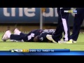 Cricket Dwayne Bravo Brilliant Catch Vs WA 2010 2011 Big Bash 720p HD YouTube