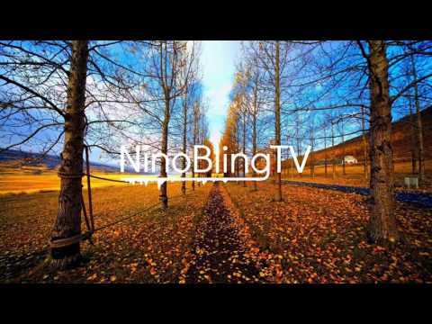 Babel-Ish feat. Lina Ice - One Night Stand