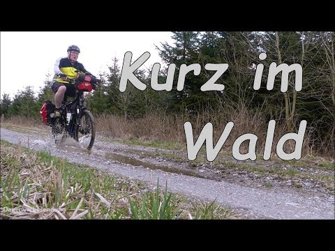 Kurz im Wald