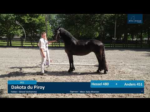 Locatiekeuring 11-6-2021 SD Stables