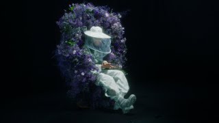 Sipa Music Video