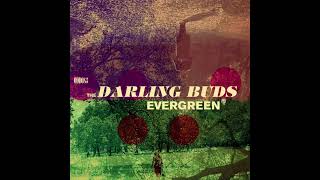 The Darling Buds - Twenty One Aches