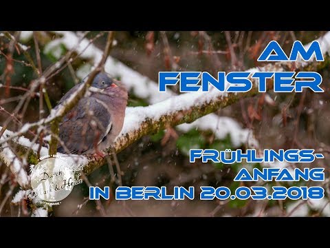 Am Fenster - Frühlingsanfang in Berlin 20.03.2018