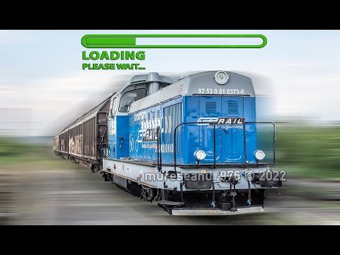 [4K] LDH 81-0373-6 CERFERSPED ÎN SERVICIU DE LINIE / IN MAINLINE SERVICE - SECȚIA TÂRGU-MUREȘ 2022