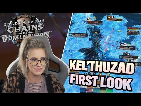 Thats a LOT of ADDS! Raid testing NEW Kel'Thuzad!