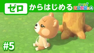 【景観改善】2024年にゼロから始めるあつ森開拓#5【あつまれどうぶつの森】