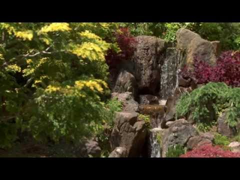 samba-fet.junior jack