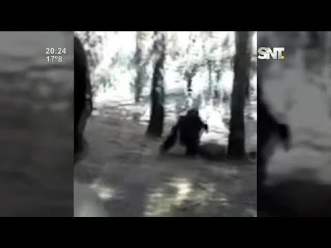 Pombero: El señor de la noche