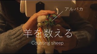 [囁き] アルパカを触りながら羊を数える [ASMR] Counting sheep