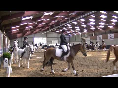 Carrouselwedstrijd NK Pony Carrousel 2017 Manege De Drechterweide