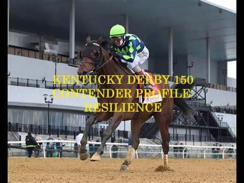 KENTUCKY DERBY 150 CONTENDER PROFILES - RESILIENCE